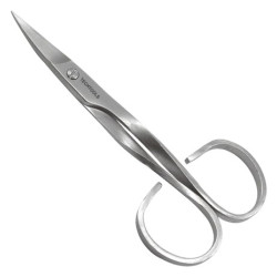 Common Scissors