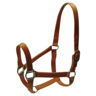 Nylon halter with Brass hardware