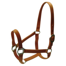 Halters & Reins