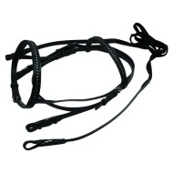 Leather Bridle