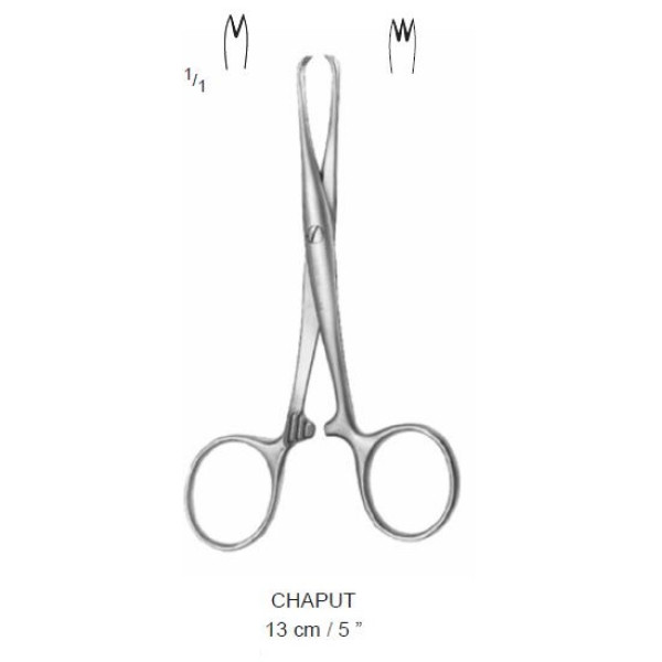 CHAPUT