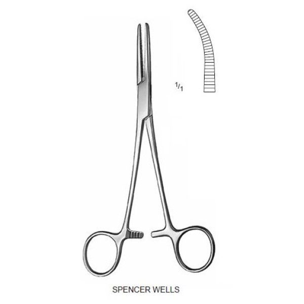 SPENCER WELLS 