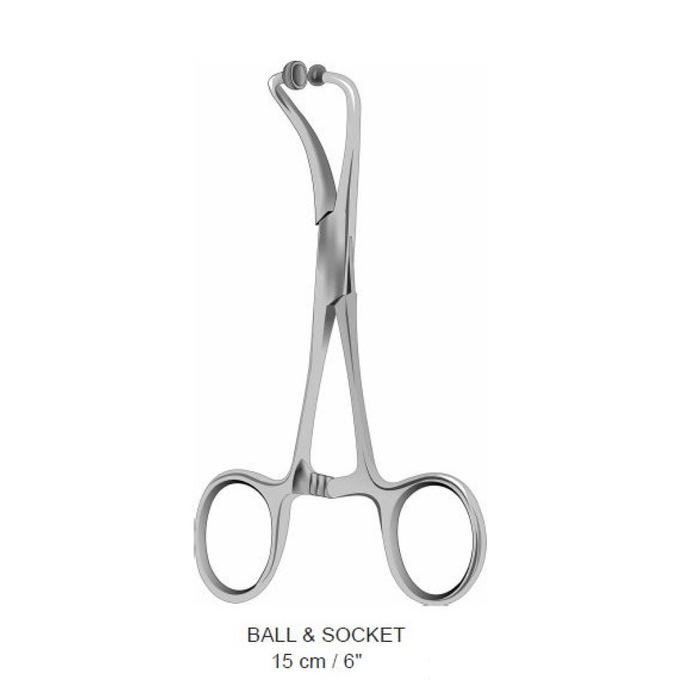 BALL & SOCKET