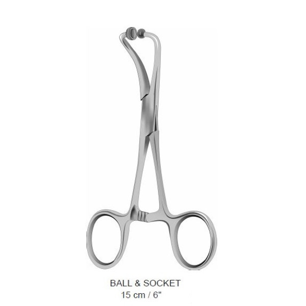 BALL & SOCKET