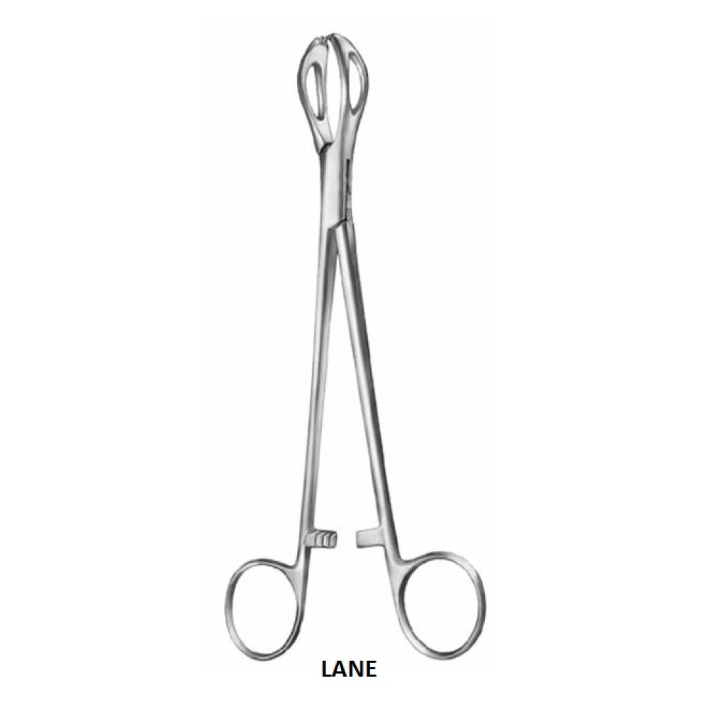 LANE 