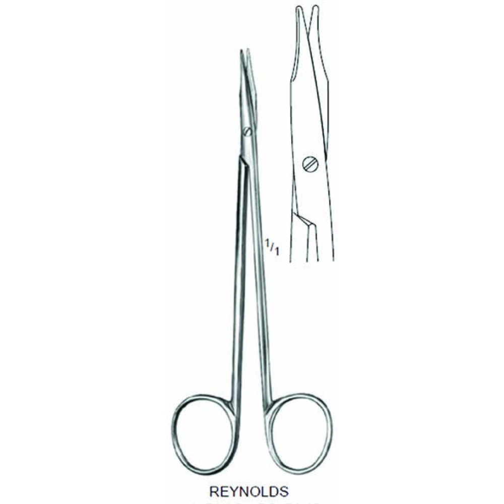 Plastic Surgery Scissor