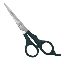 Plastic Handle Shears