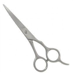 Professional Hair Cutting Shears