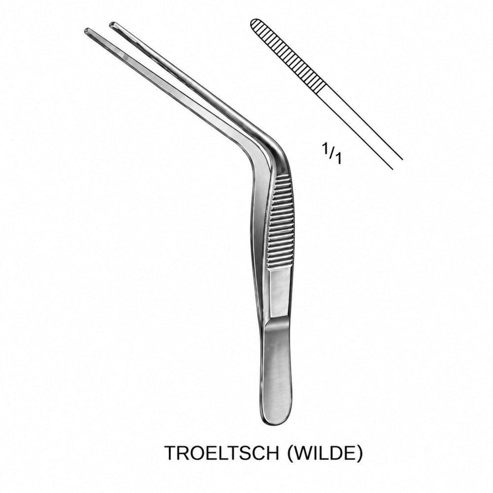 TROELTSCH