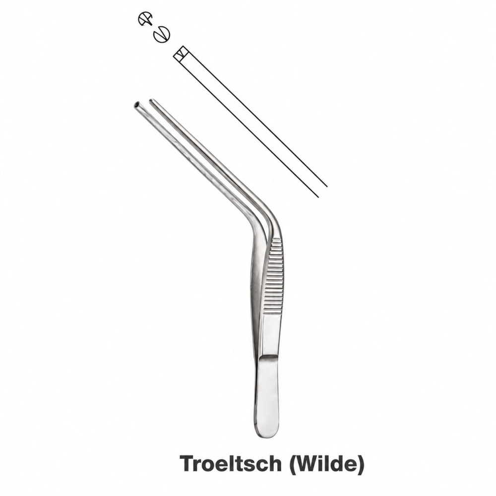 TROELTSCH