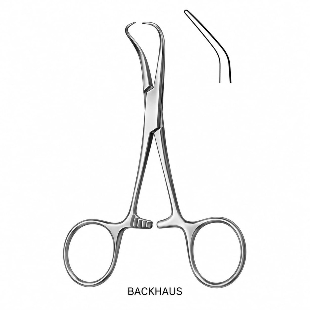 BACKHAUS