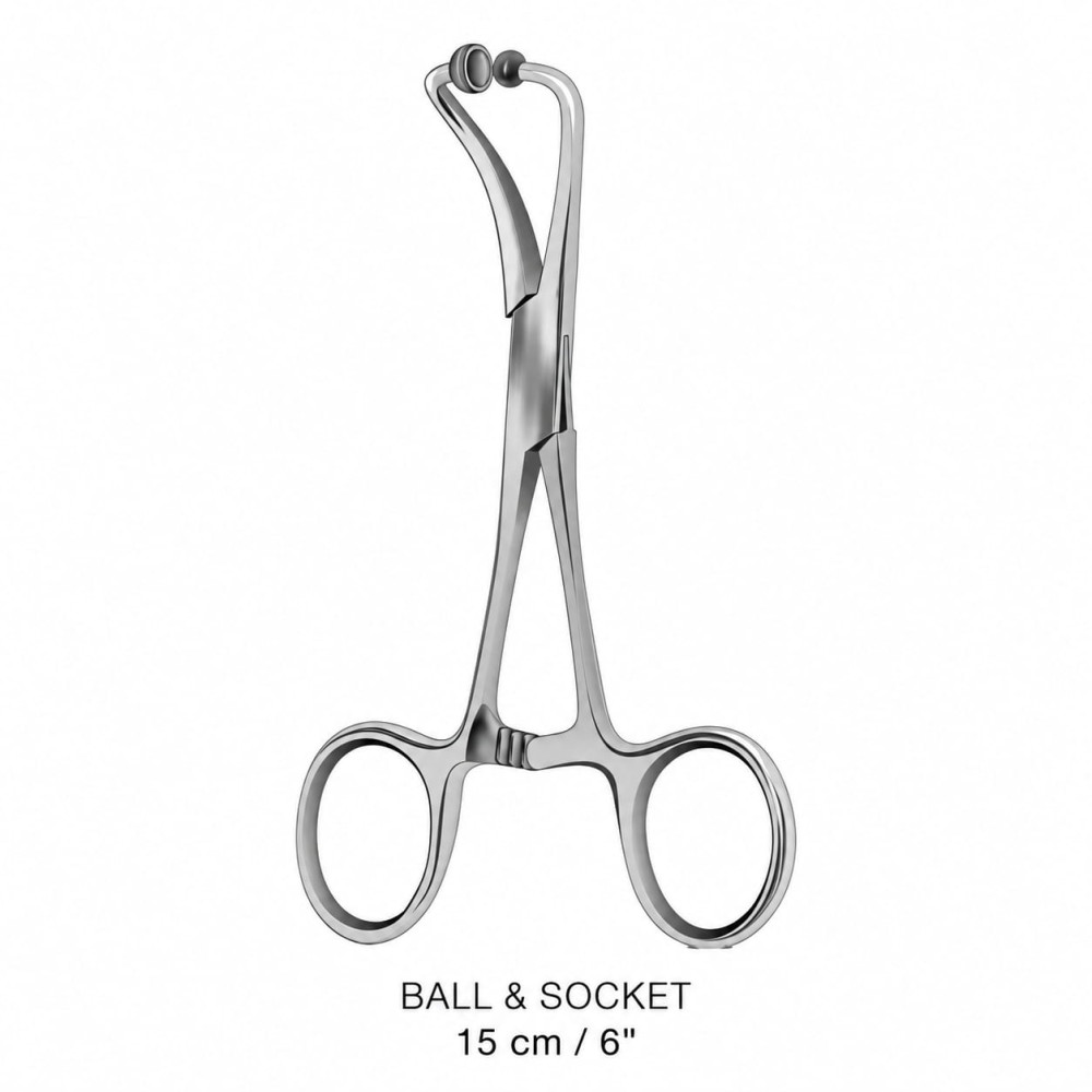 BALL & SOCKET