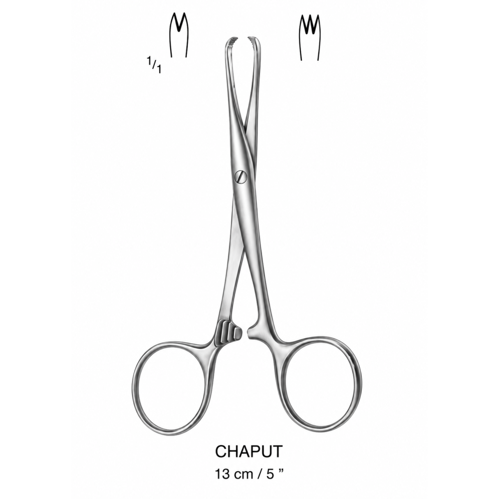 CHAPUT