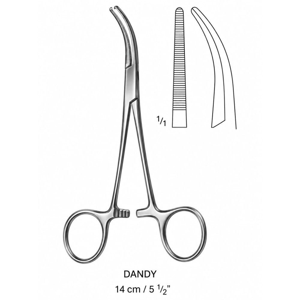 DANDY