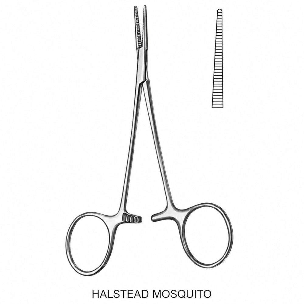  HALSTEAD MOSQUITO