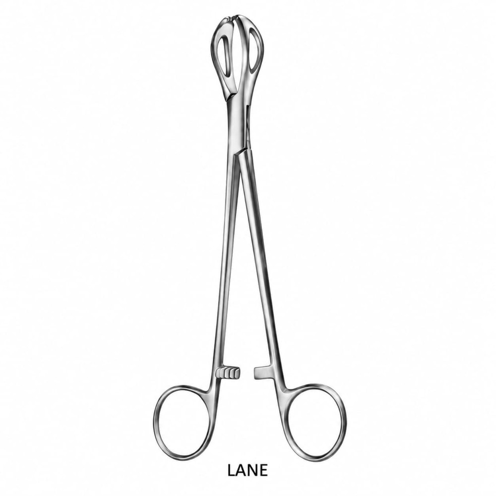 LANE 