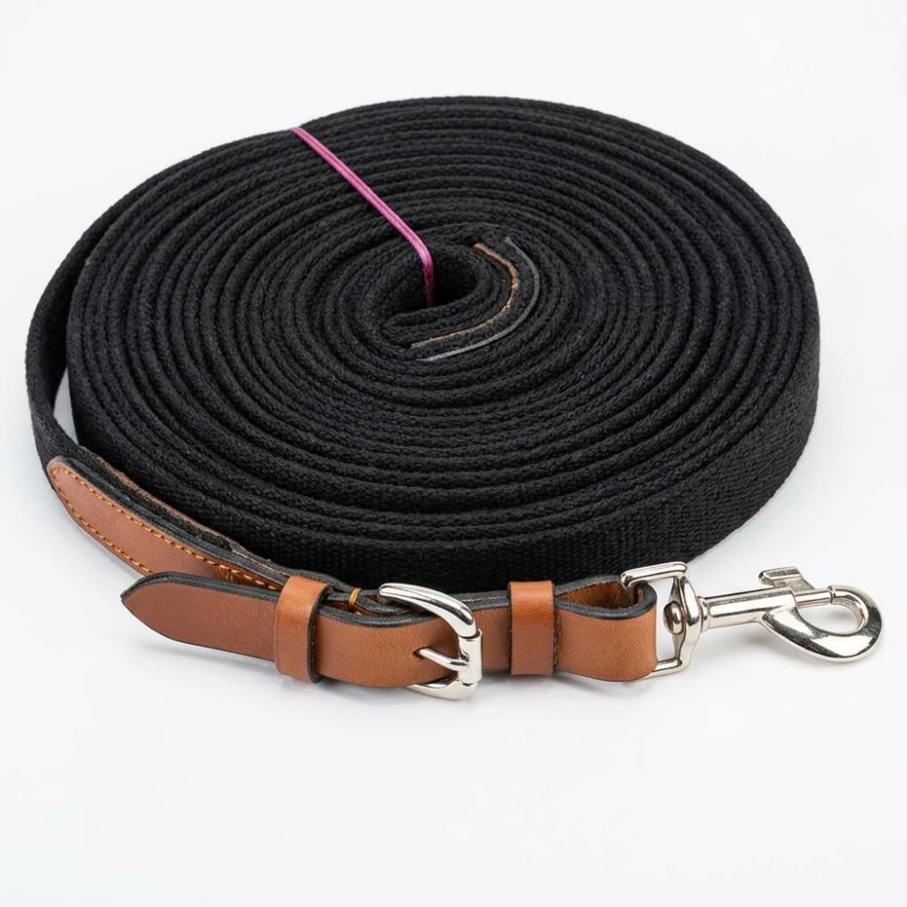 Leather Lunge Line