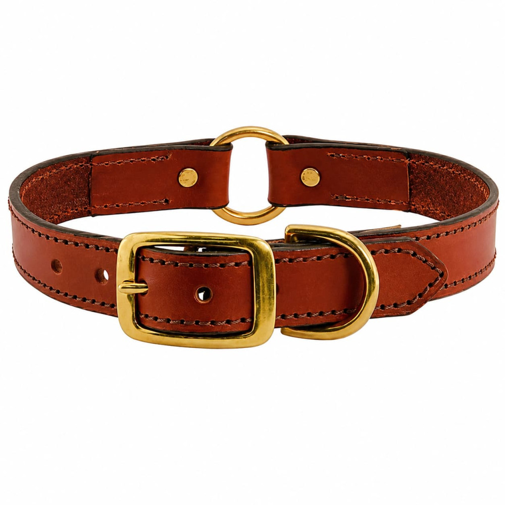 Dog Collar