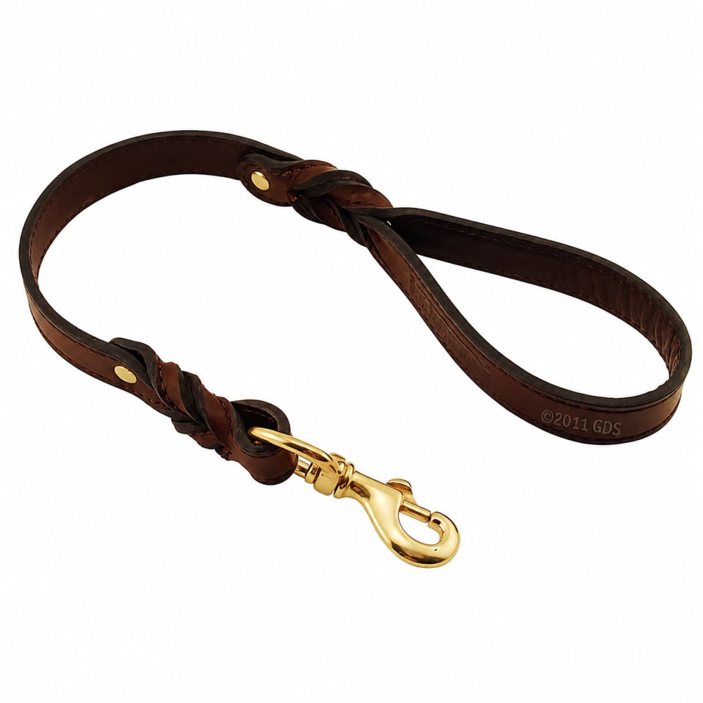 Dog Leash