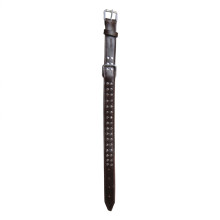 Dog Collar & Leashes