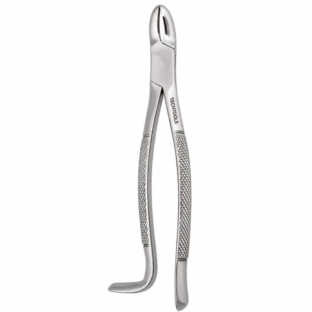 Wolf Tooth Forceps / Extracting Forceps