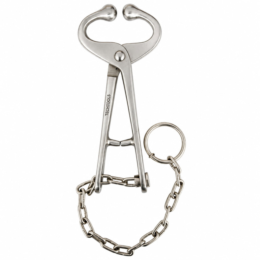 Bull Lead With Chain